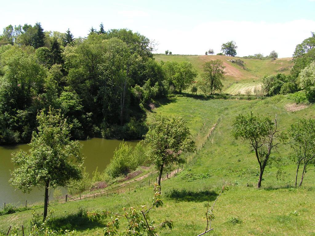 Gite De Carbonies Saint-Felix-de-Lunel Экстерьер фото